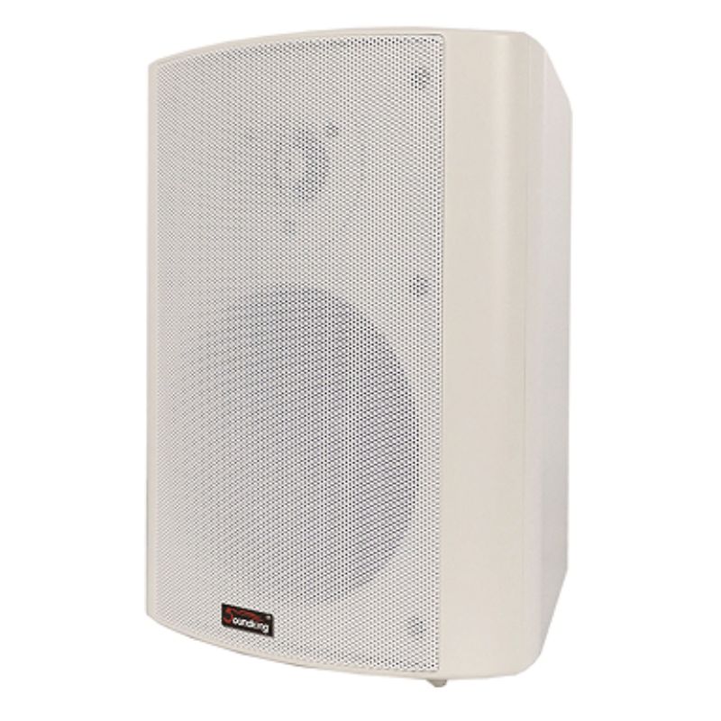 Loa Treo Tường Soundking SB030W